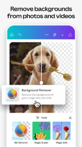 Easy background removal with Canva